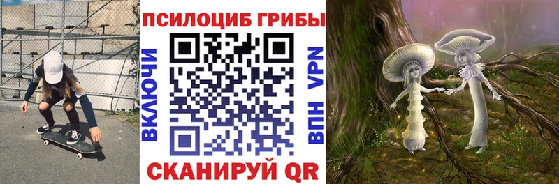 Псилоцибиновые грибы Psilocybine cubensis Саянск