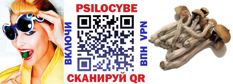 darknet Telegram  Саянск  Псилоцибиновые грибы мицелий  купить  цена 